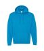 Sweat À Capuche Adulte Saphir Gildan-1