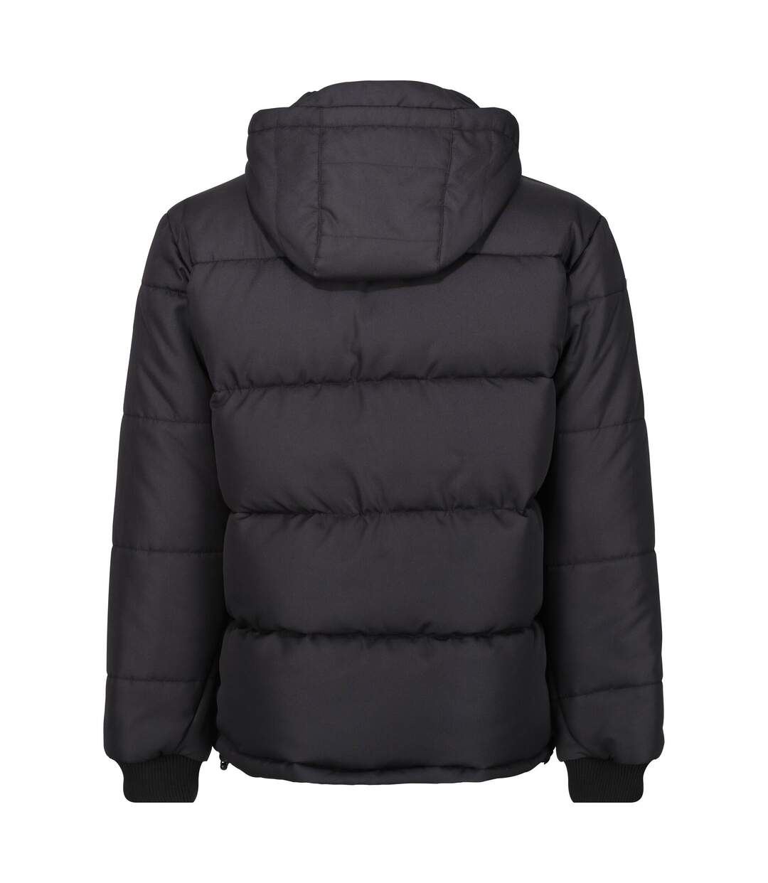 Veste Isolée Homme Noir Regatta Professional-2