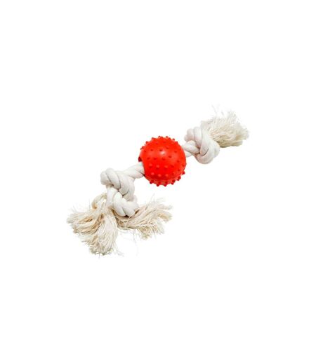 Jouet pour Chien Corde & Balle 33cm Naturel