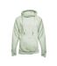 Sweat À Capuche Homme Vieux Vert Awdis-2