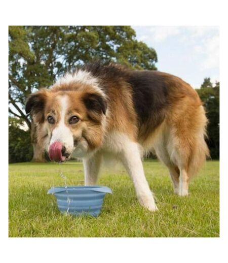 Collapse-a-bowl dog bowl one size blue Kurgo