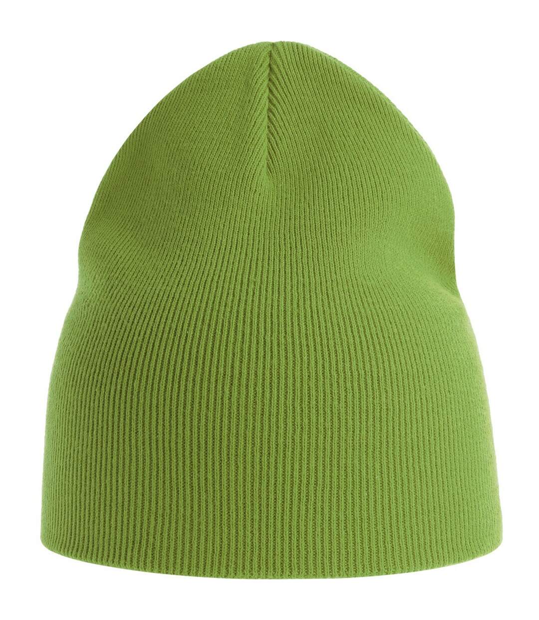Unisex Adult Yala Organic Beanie Leaf Green Atlantis-1