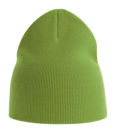 Atlantis Unisex Adult Yala Natural Beanie (Leaf Green) - UTAB618