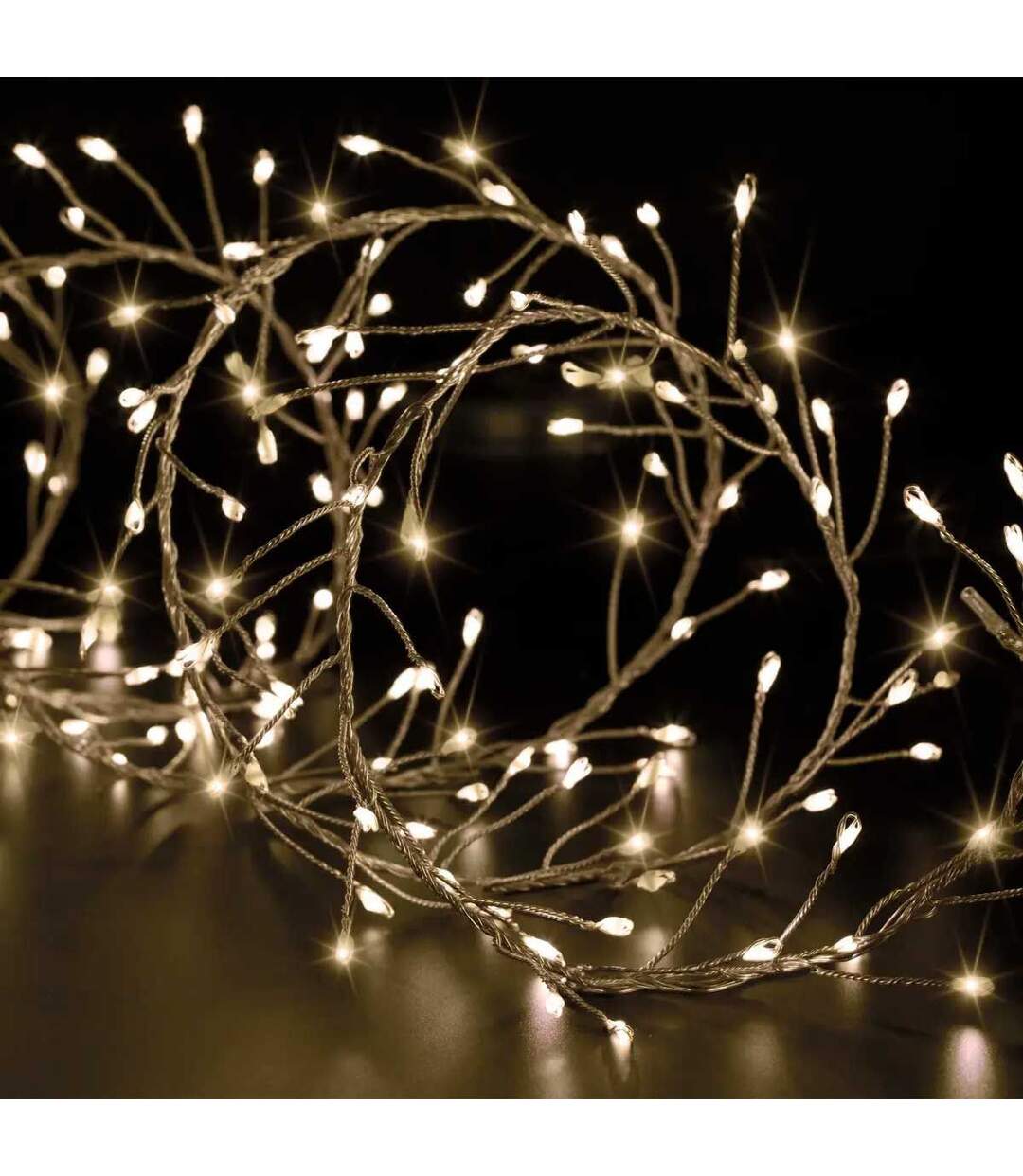 Guirlande Lumineuse Extérieur Boa 2,5m Blanc Chaud-1