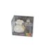 Coffret Senteur Essentiel 100ml Mangue-2