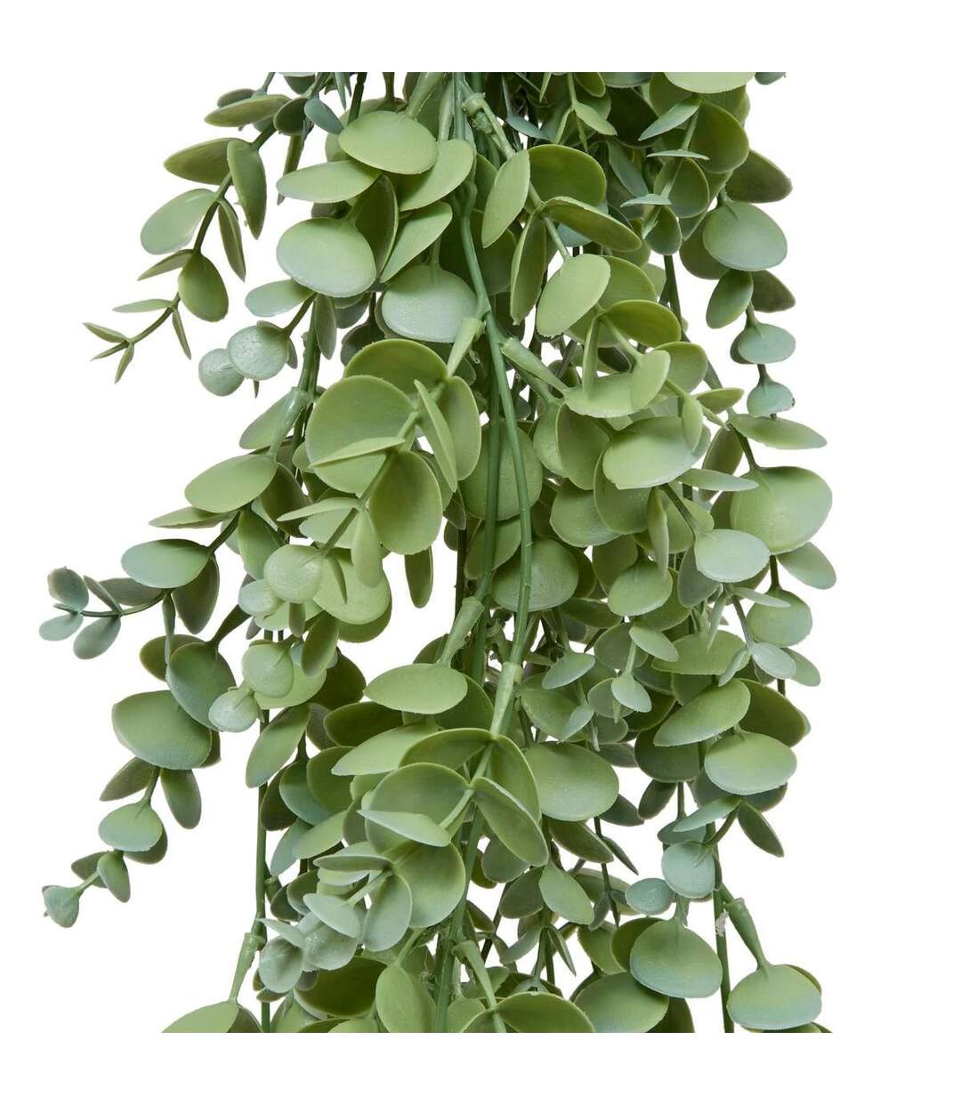 Eucalyptus Artificiel Tombant James 80cm Vert-2