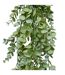 Eucalyptus Artificiel Tombant James 80cm Vert-2