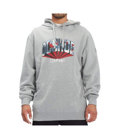 Sweat à capuche Gris Homme DC Shoes Blabac Jahmir - L