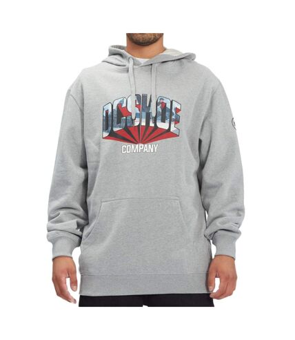 Sweat à capuche Gris Homme DC Shoes Blabac Jahmir - L