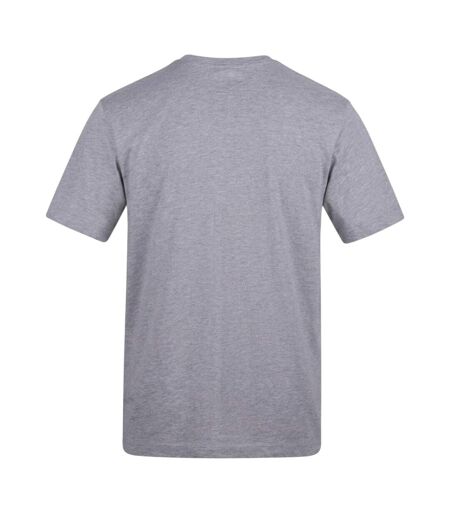 Unisex Adult Contains Alcohol T-shirt Grey AWD