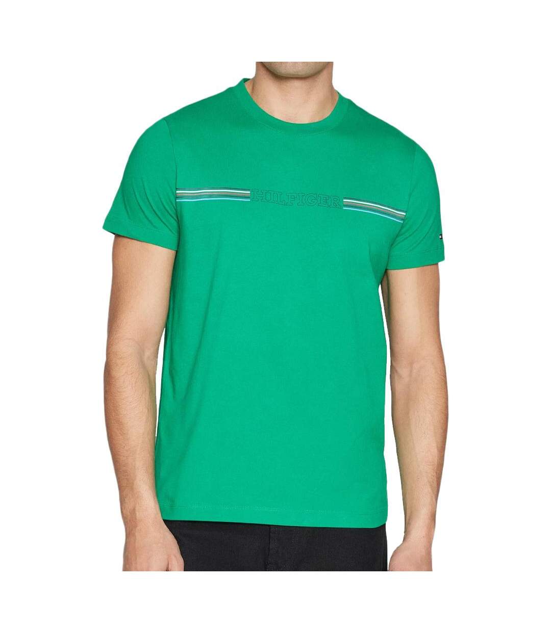 T-shirt Vert Homme Tommy Hilfiger MW0MW34428 - L