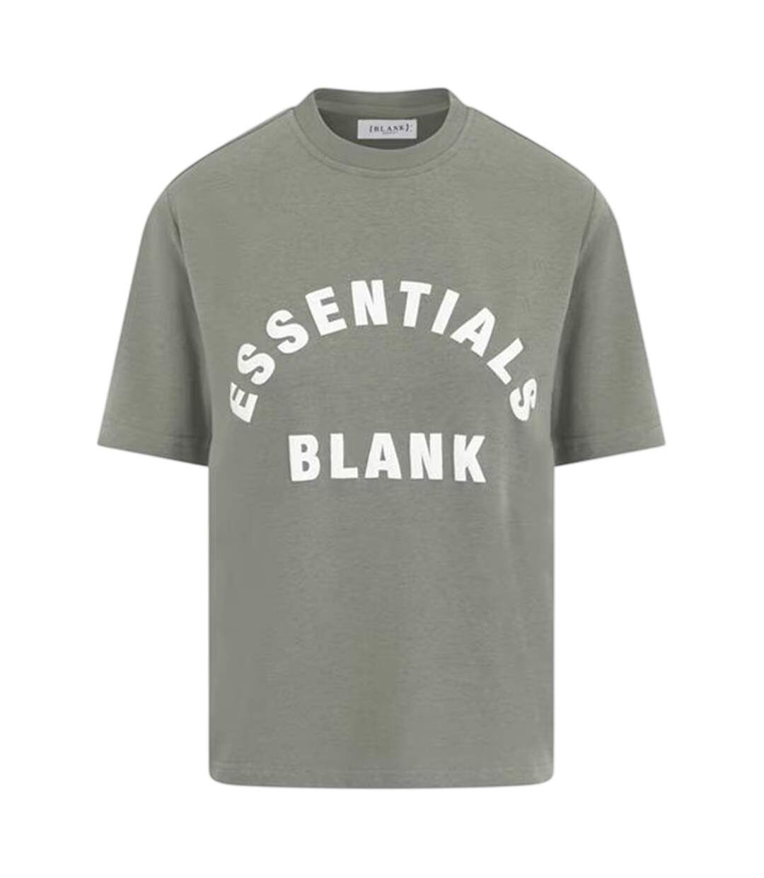 Womens/ladies Oversized Boyfriend T-shirt Sage Blank Essentials-1