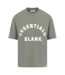 Womens/ladies Oversized Boyfriend T-shirt Sage Blank Essentials-1