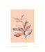 Hope Bainbridge Sketch II Floral Print (Pink) (30cm x 40cm)