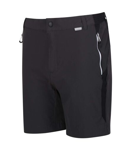 Short mountain homme cendre / noir Regatta