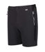 Short mountain homme cendre / noir Regatta