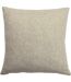 Paoletti Delphi Cushion Cover (Mint)