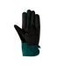 Gants de ski noir/vert homme dc shoes salute glov - s-2