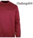 CHALLENGER BULGARE3 — Sweat col rond bordeaux : style raffiné et finitions soignées-4