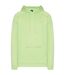 Sweat À Capuche Manches Raglan Homme Vert Under Armour-2