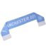 Unisex Adult Essential Manchester City Fc Woven Scarf One Size Light Blue Puma-2