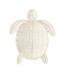 Déco Murale Tortue Porfirio 31cm Blanc Cassé-2