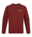 Mens Dillisk Ii Long-sleeved T-shirt Axinite Red Craghoppers-2