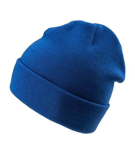 Bonnet D'hiver Seine Adulte Bleu Foncé Iguana