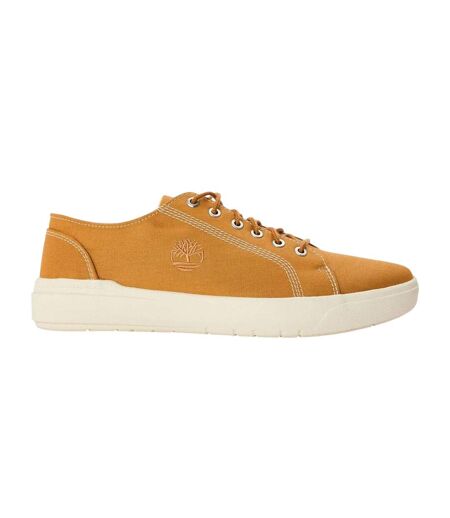 Baskets Seneca Bay Homme Vert Foncé Timberland