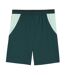 Mens World Cup 2026 Lightweight Austria Fc Away Shorts Green Mint Puma-2