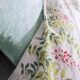 Drap-5