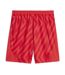 OM Short Réplica de Gardien Rouge Homme Puma 24/25 - L