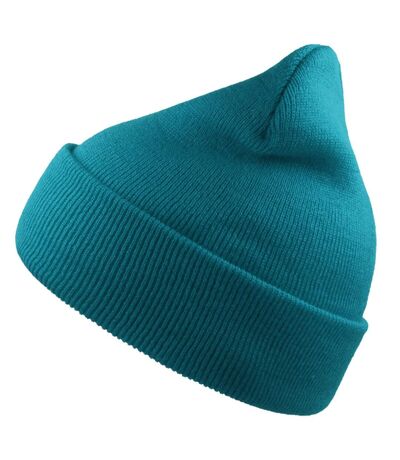 Unisex Adult Wind Recycled Cuffed Beanie Turquoise Atlantis