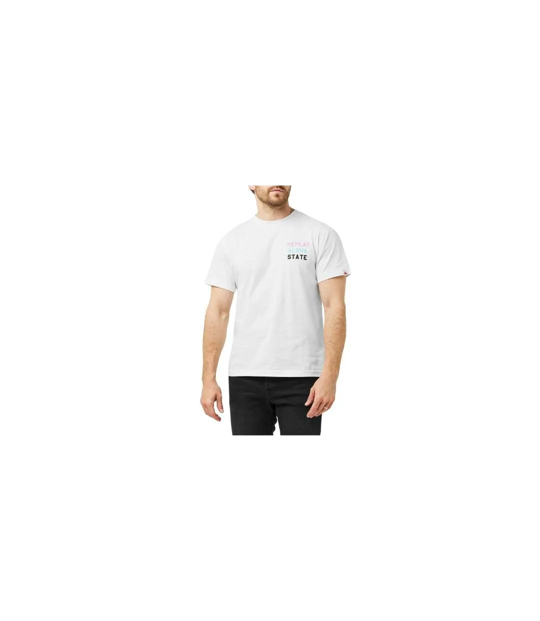 T-shirt Motif/style Imprimé Graphique Aloha State Homme Blanc Replay-1