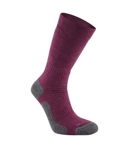 Craghoppers Unisex Adult Trek Merino Wool Socks (Wildberry Purple) - UTCG1883