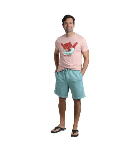 Mens hamilton sunwashed shorts mineral blue Weird Fish