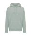 Unisex adult trivor microfleece hoodie green iceberg Iqoniq-1
