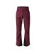 Pantalon De Ski Baseplate Homme Figue Dare 2B-2