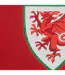 T-shirt Motif/style Graphique Homme Rouge FA Wales-4