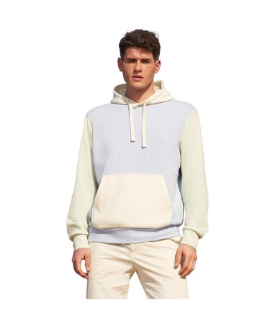 Sweat À Capuche Collins Adulte Bleu Pâle SOLS