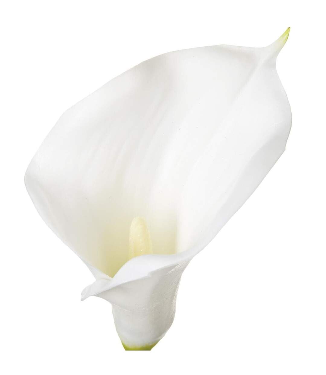 Fleur Artificielle Arôme 78cm Blanc-2