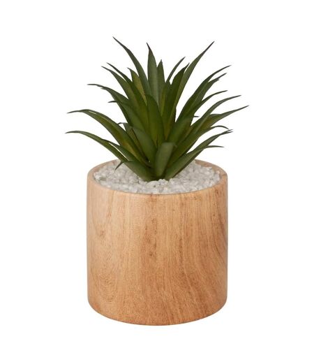 Plante Artificielle en Pot Sao 17cm Marron