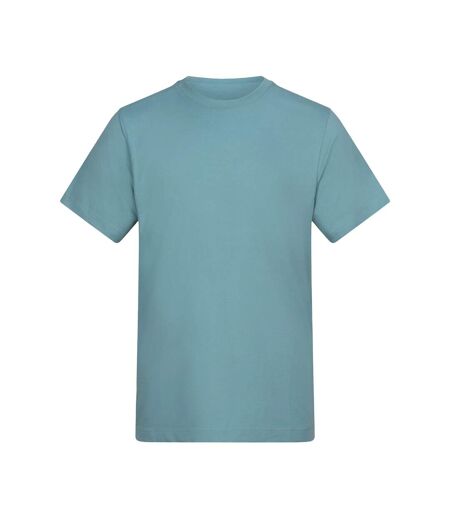 T-shirt Adulte Turquoise Awdis