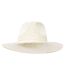 Womens/ladies Brielle Straw Hat Natural Trespass-1