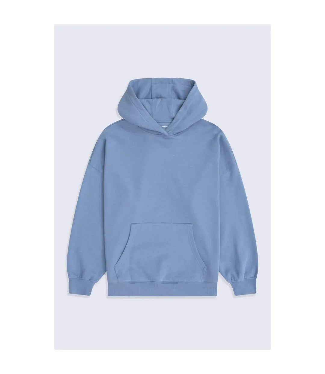 Womens/ladies Idol Drop Shoulder Hoodie Pale Blue Animal-1