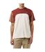 T-shirt Motif/style Blocs De Couleurs Homme Blanc Marron Marron Clair Lacoste-3