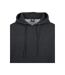 Sweat À Capuche Basic Homme Charbon Urban Classics-4