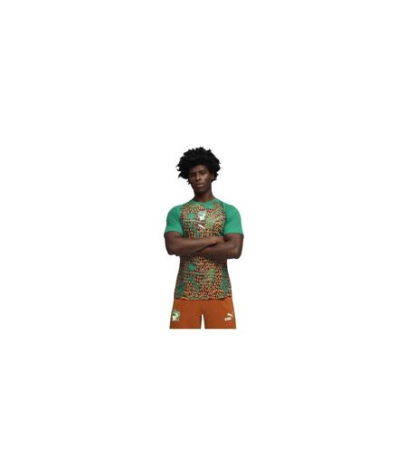 Mens World Cup 2026 Ivory Coast Fc Football Shirt Green Puma