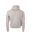 Sweat à capuche Gris Homme C17 Fletcher - S