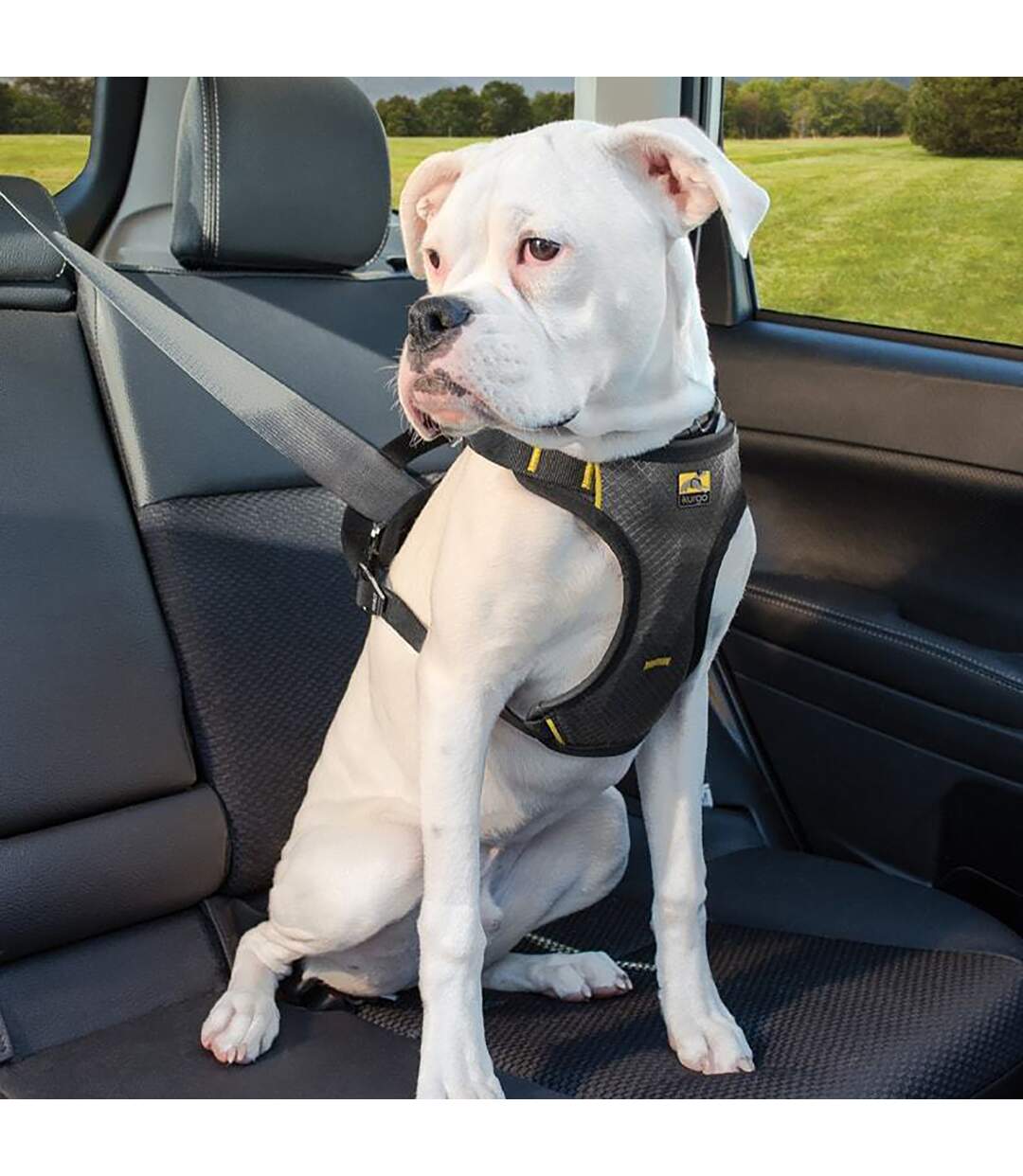 Impact dog car harness small black Kurgo